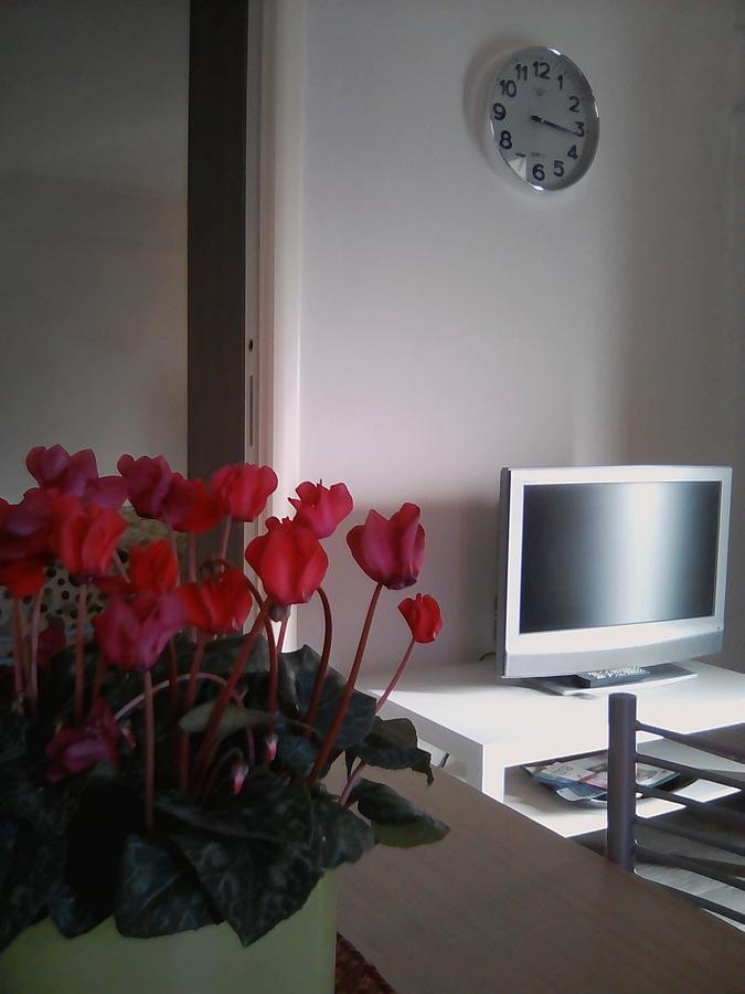 La Graziosa Dépendance Apartman Orvieto Kültér fotó